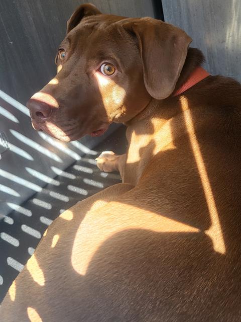 Charlie