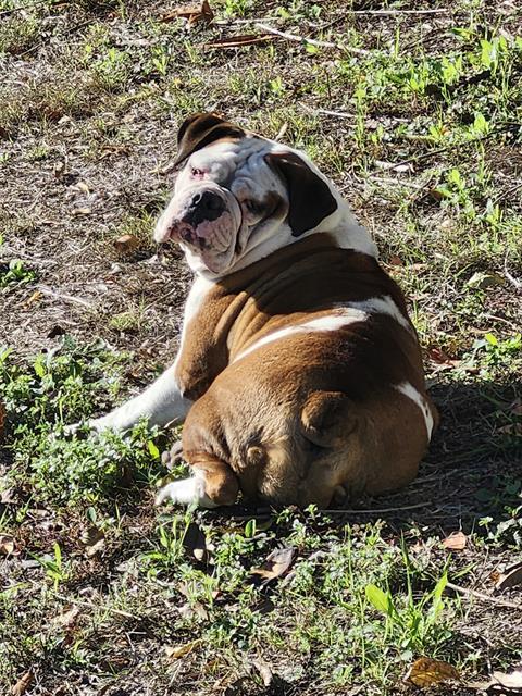 Fiona