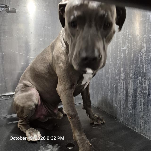Zeus