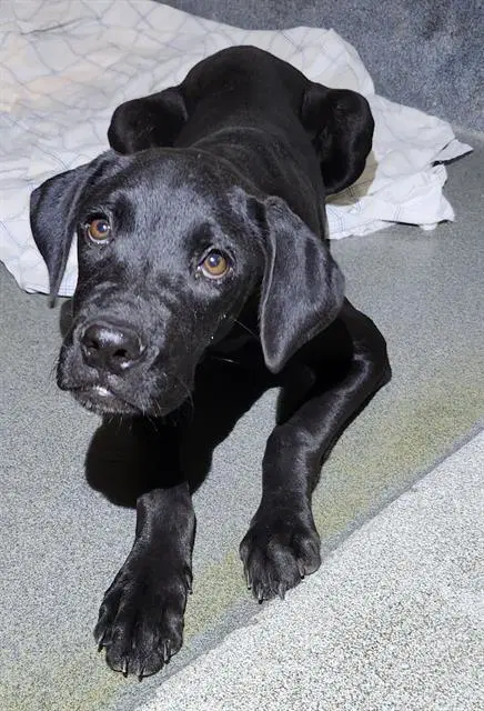 Zoe image 1