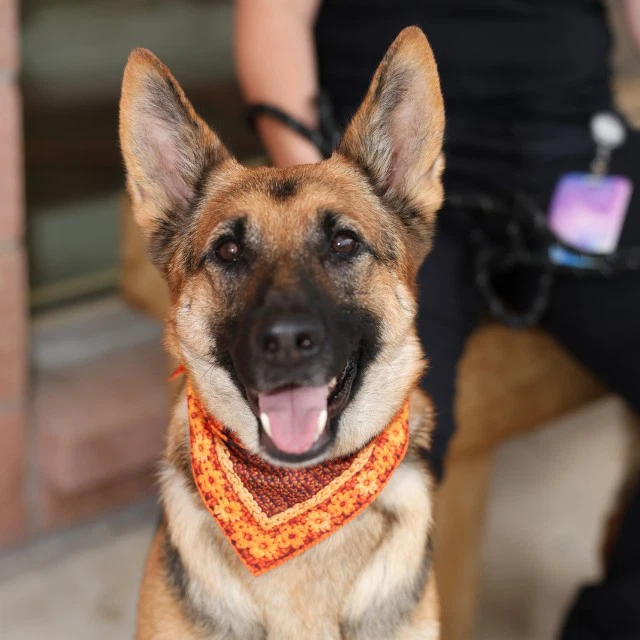 Hera