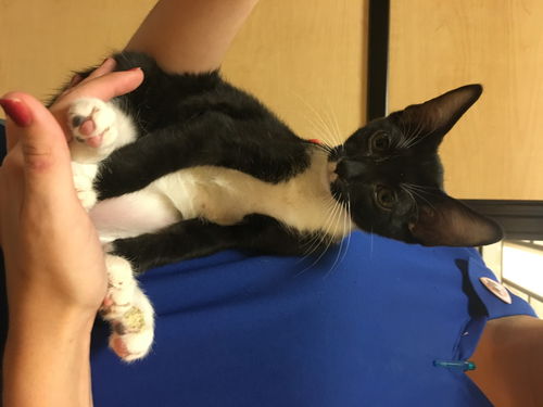Binx