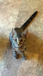 Ms. Tigger