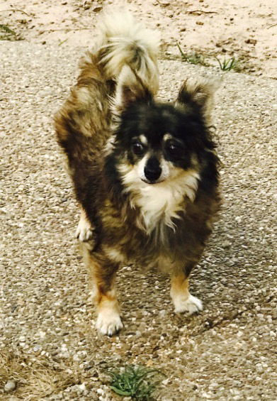 Roxy