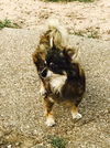 Roxy