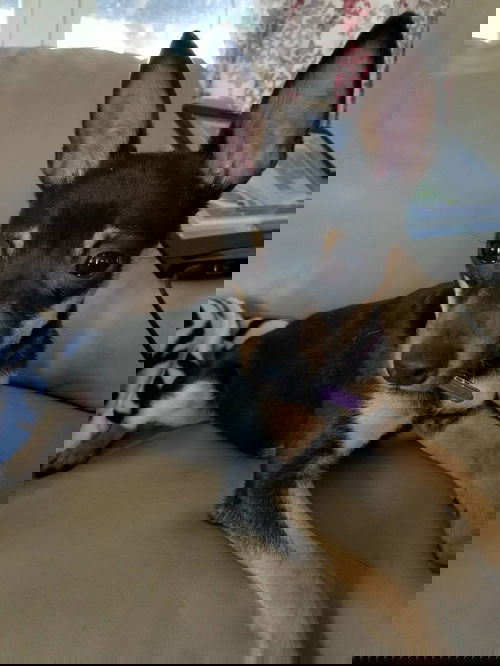 Chance