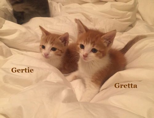 Gretta