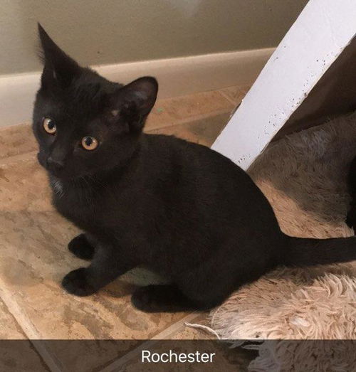 Rochester