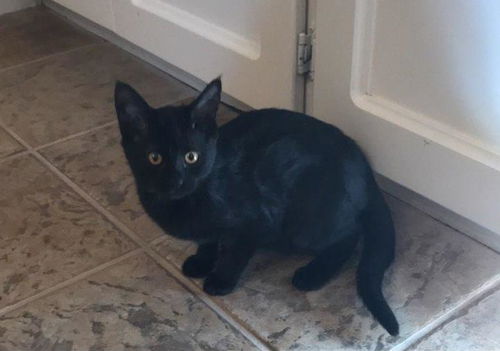 Minnie