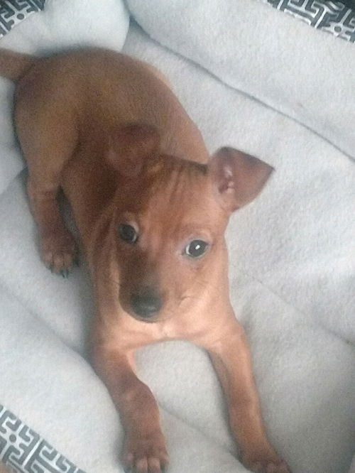 Rusty
