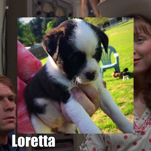 Loretta