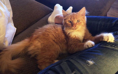 Copper