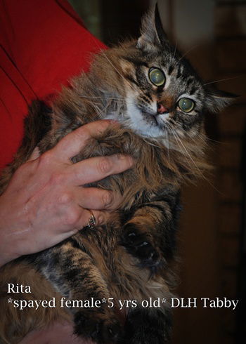 Rita