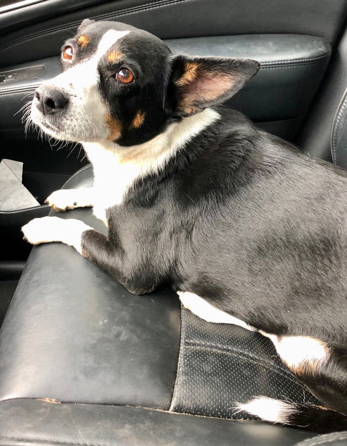 Millie