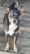 Roscoe