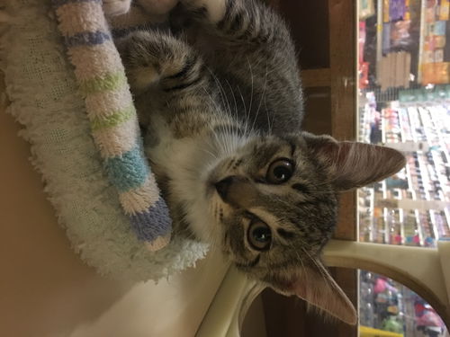 Pixel