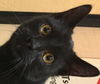 Binx