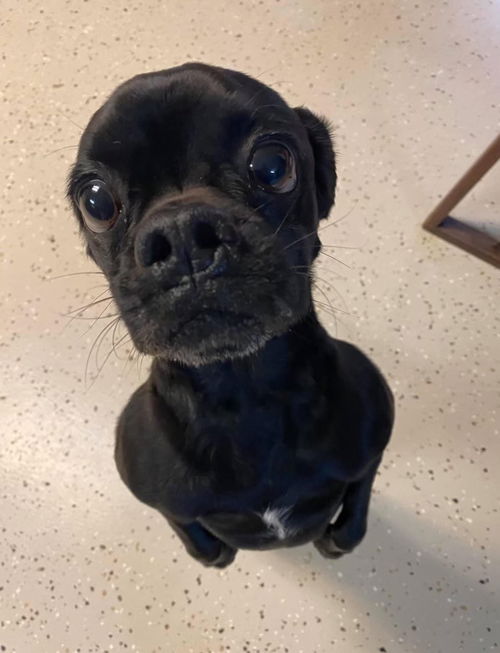 Cooper