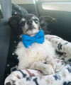 Charlie