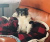 Charlie