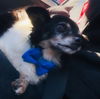 Charlie