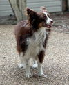 Sammie