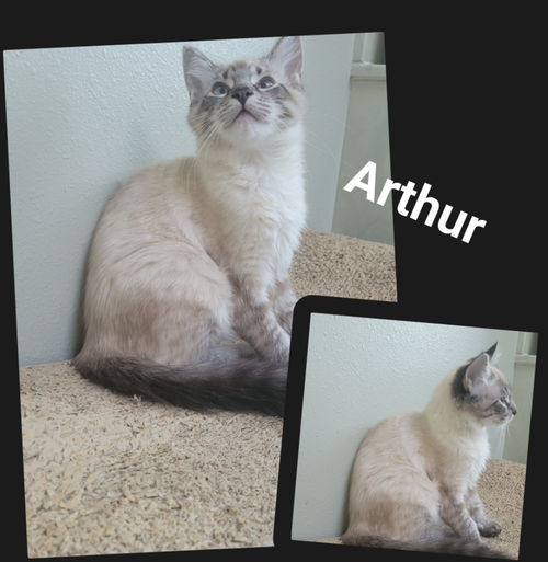 Arthur