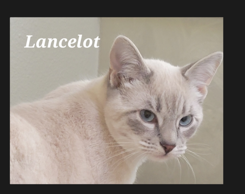Lancelot