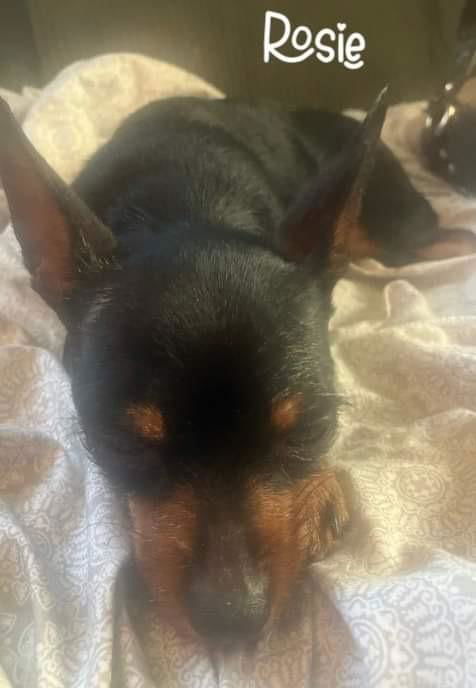 Rosie