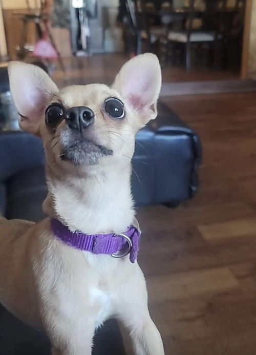 Nina