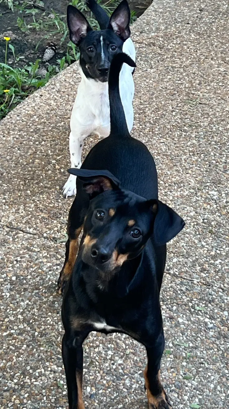 Nacho image 3