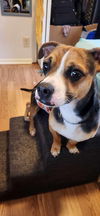Tucker