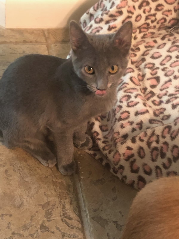 Ashley