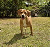 Nemo - Photo 1