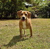 Nemo - Photo 2