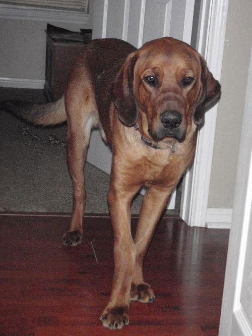 Charlie