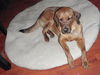 Charlie