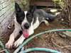 Delanie - Photo 3