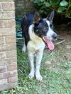 Delanie - Photo 1