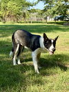 Delanie - Photo 4