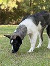 Delanie - Photo 5