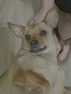 Sandy - Photo 2