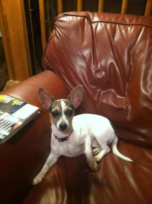 Molly