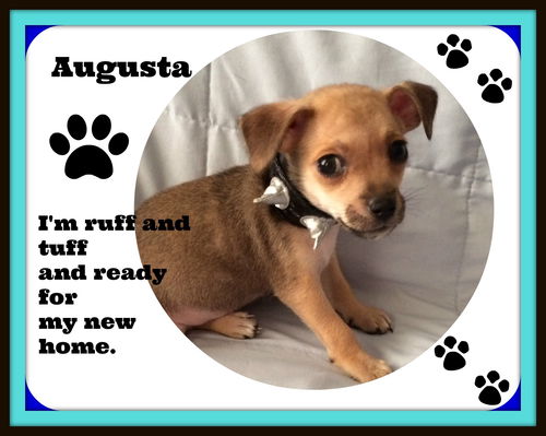 Augusta