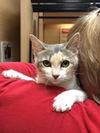 Cat Ballou
