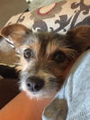 Lucy