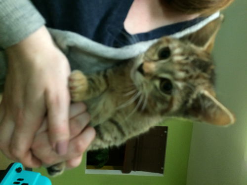 Lily