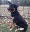 Sita