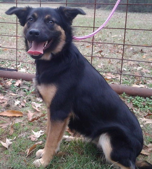 Sita