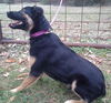 Sita